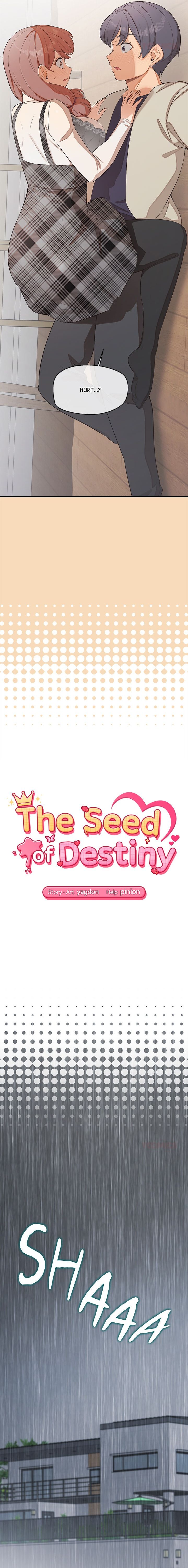 The Seed of Destiny Chapter 26 - Page 2