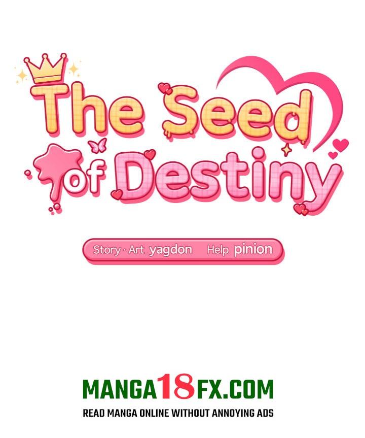 The Seed of Destiny Chapter 3 - Page 16